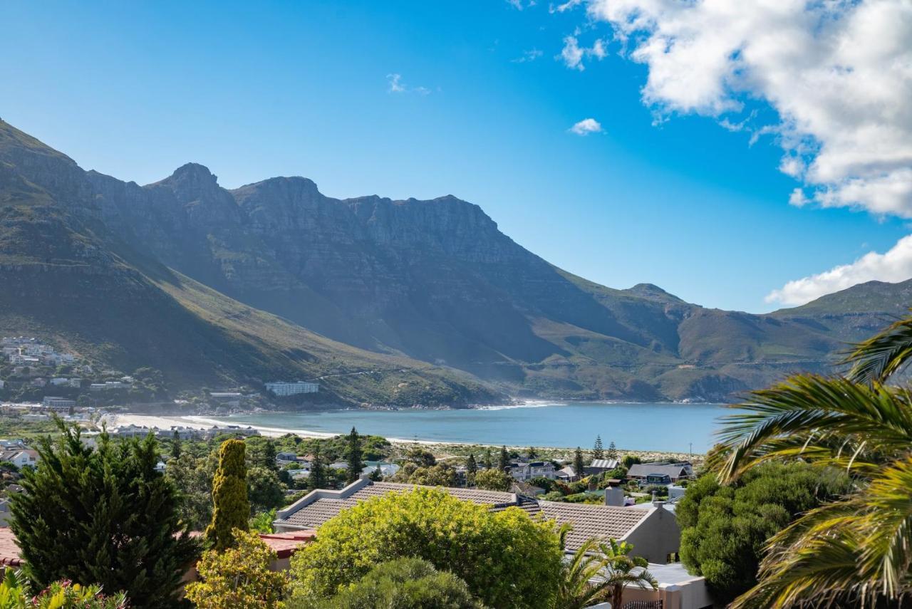 Hout & About Hout Bay
